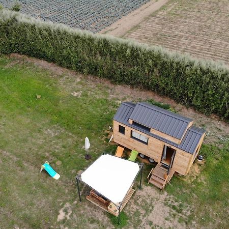 Tiny House Sur La Presqu'Ile Sauvage Otel Lanmodez Dış mekan fotoğraf